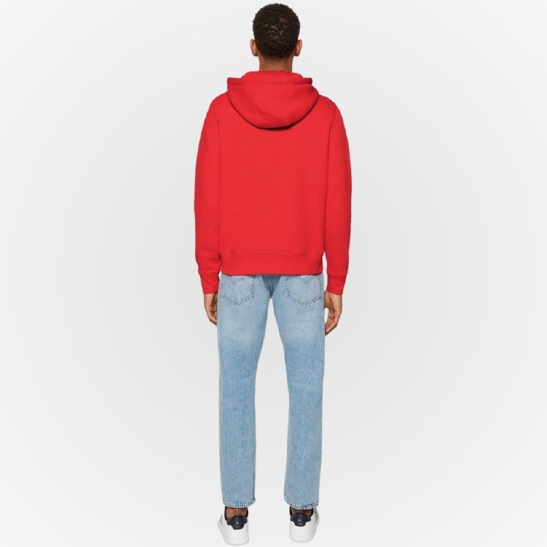 Tommy Logo Hood