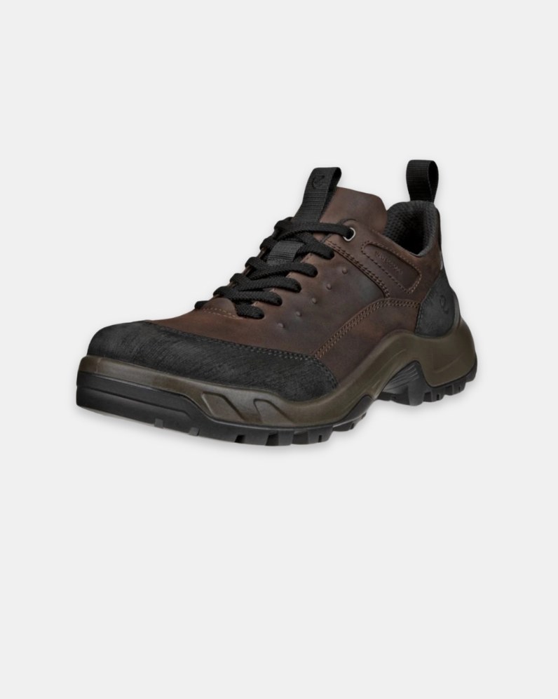 Offroad GTX Shoe
