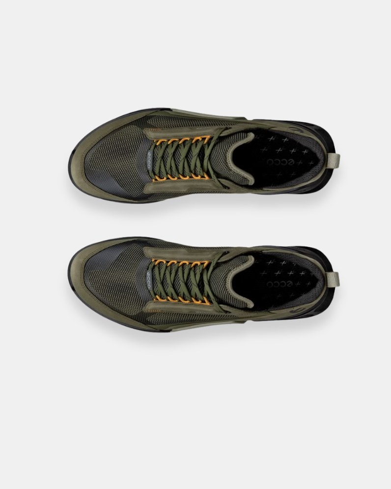 Biom 2.1 Mountain Shoe