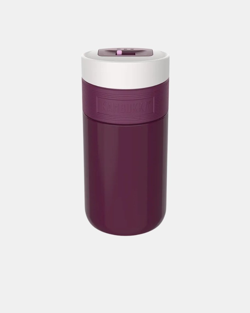 Etna 300ML Thermal Bottle