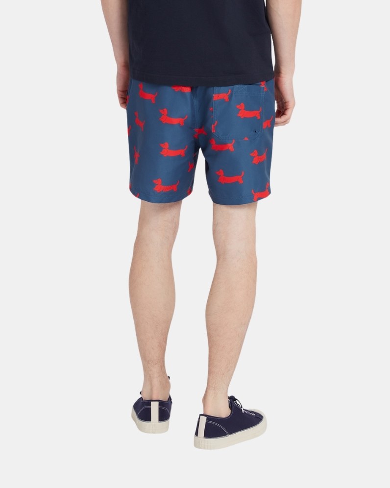 Colbert Dog Shorts
