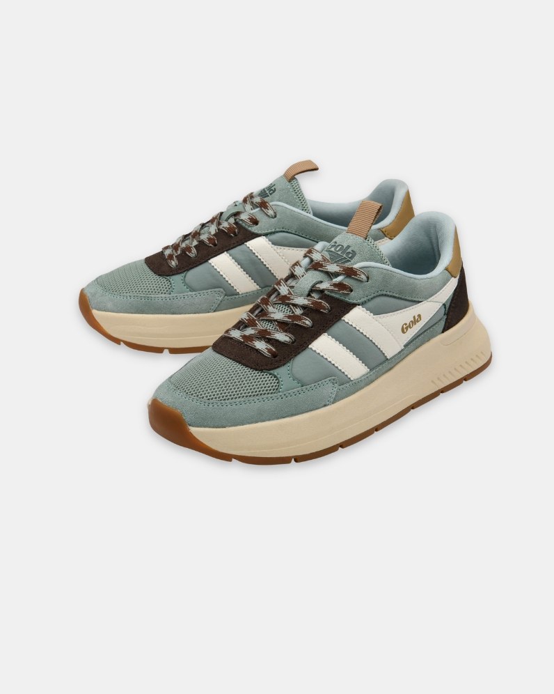W' Phoenix Trainer