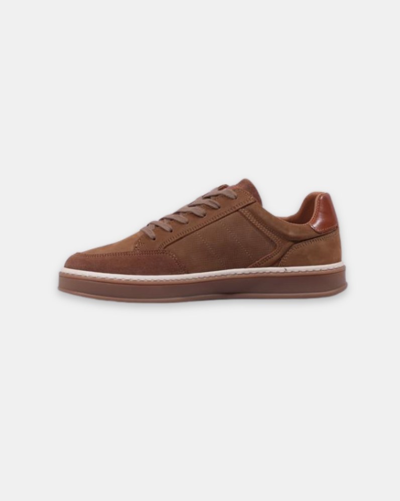 Pietsch Shoe