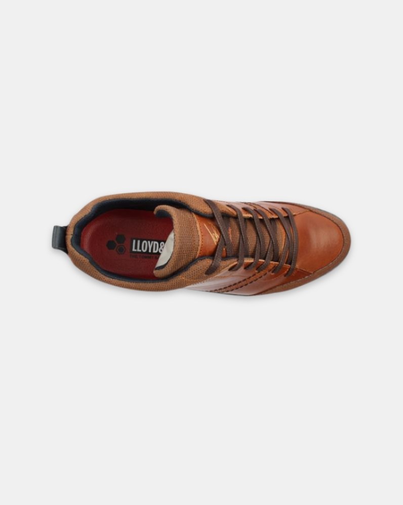Vivas Shoe