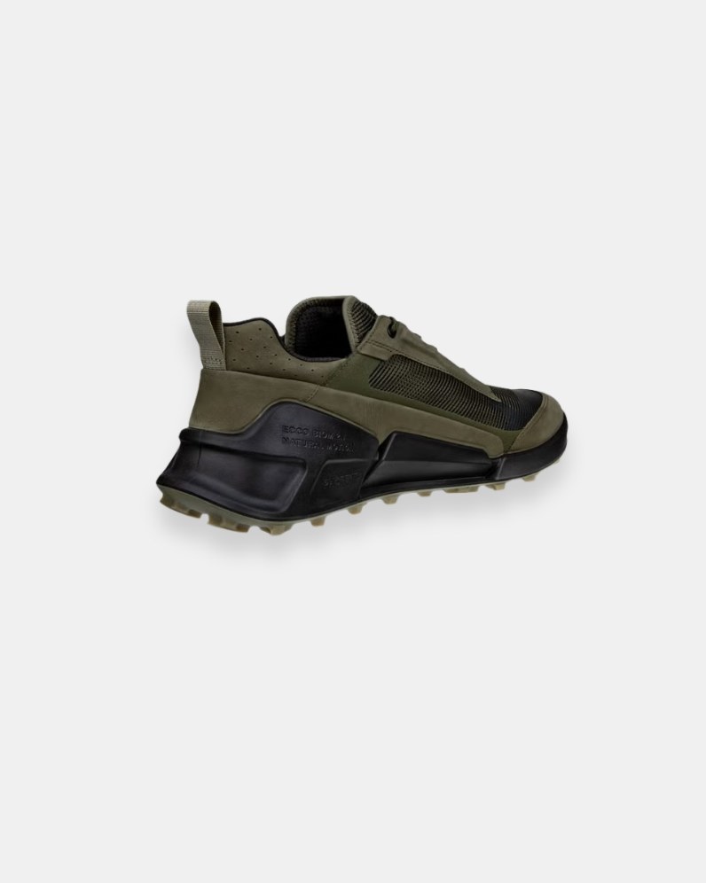 Biom 2.1 Mountain Shoe