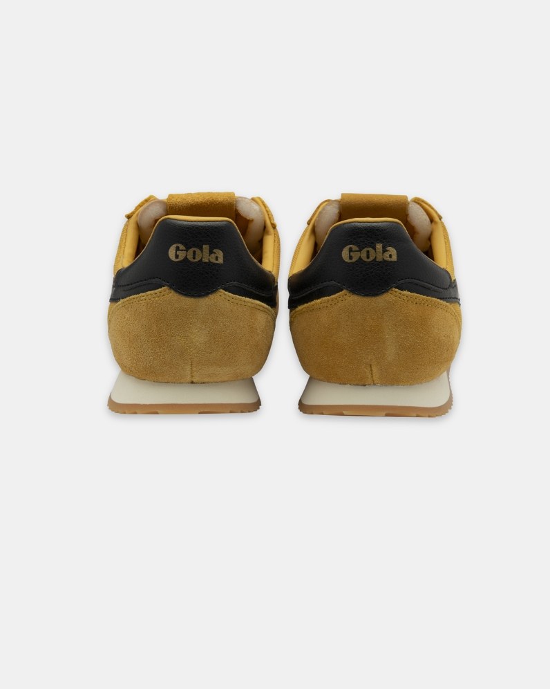 Europa Trainer