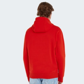 Tommy Hilfiger Reg Entry Graphic Hood