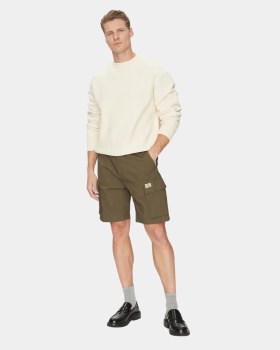 Washed Cargo Shorts