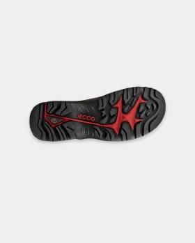 Offroad GTX Shoe