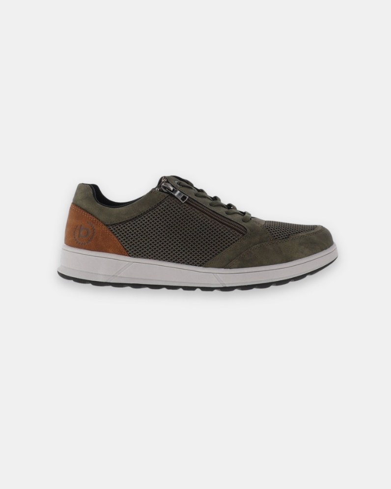 Mesh Trainer