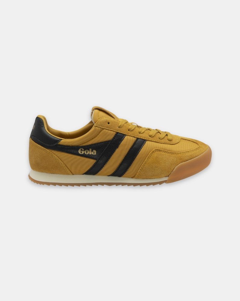 M' Europa Trainer