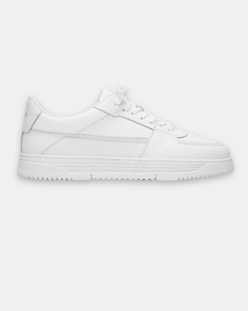 Court Trainer