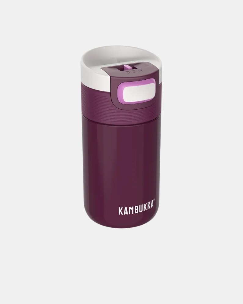 Etna 300ML Thermal Bottle