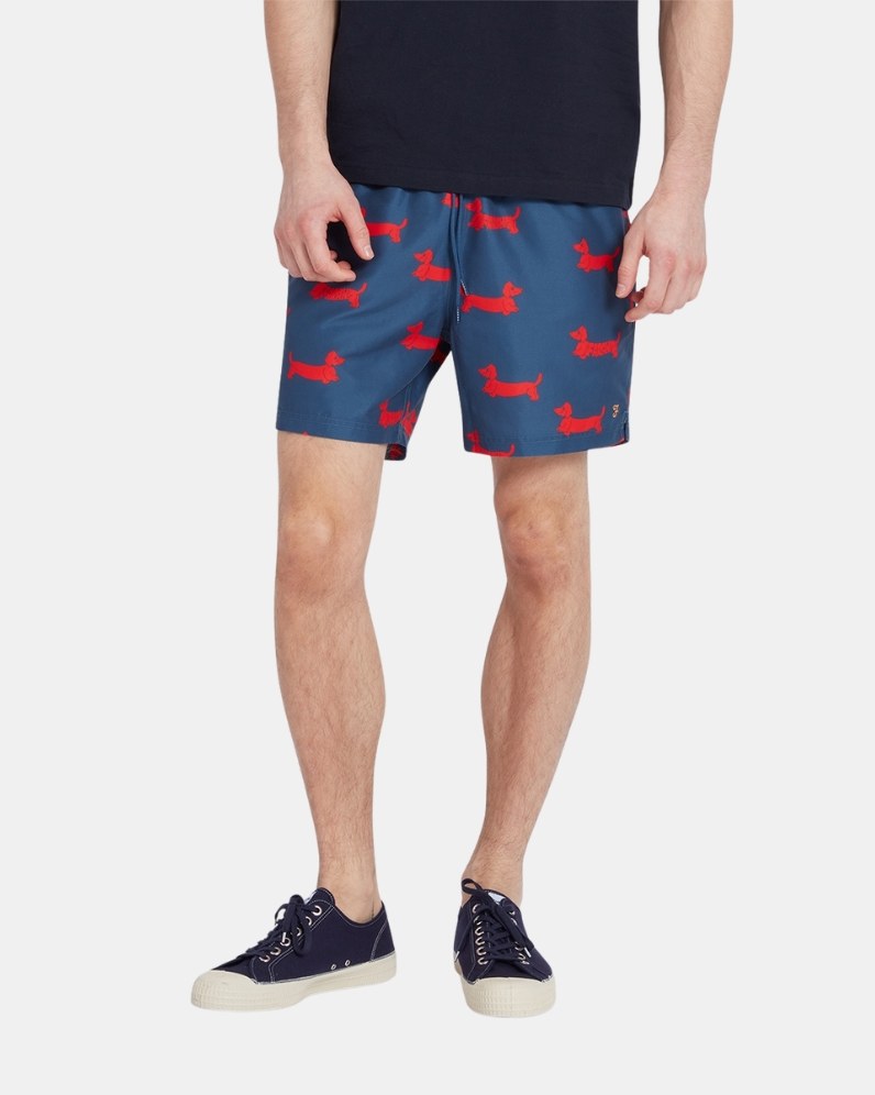 Colbert Dog Shorts