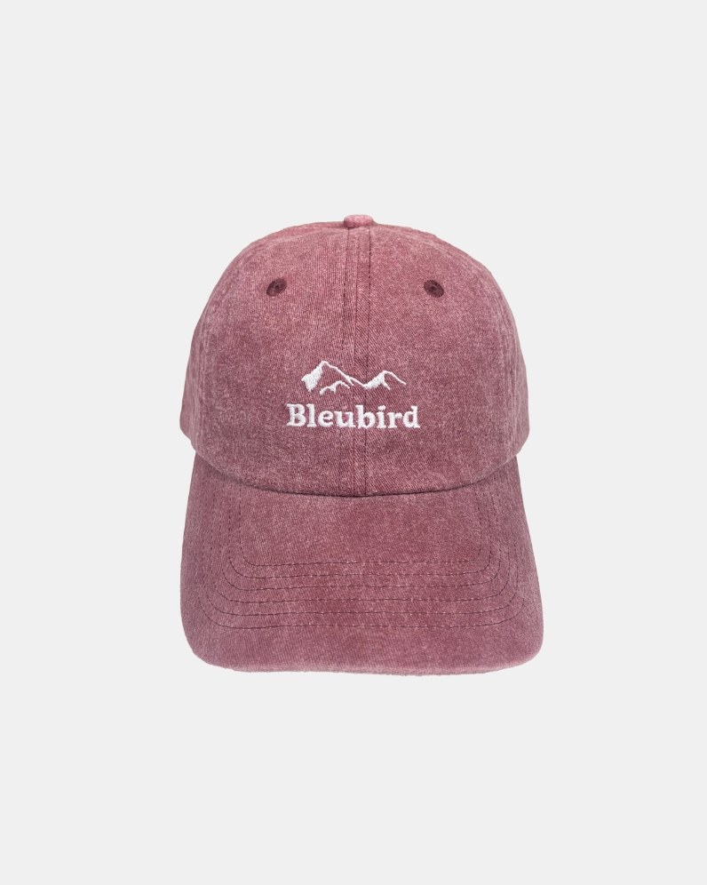Roadie Mountain Cap