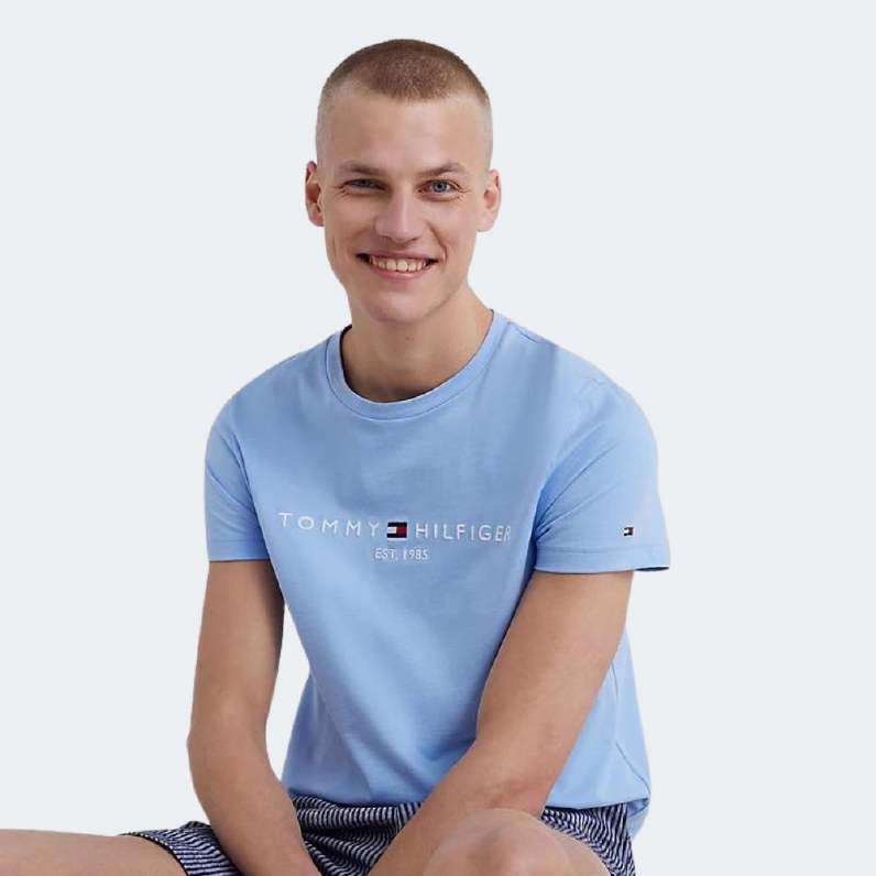 Tommy Hilfiger Tommy Logo Tee