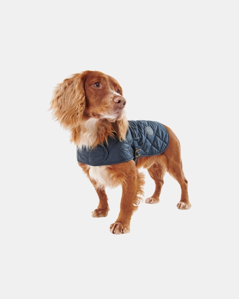 Quilted Dog Coat thumbnail