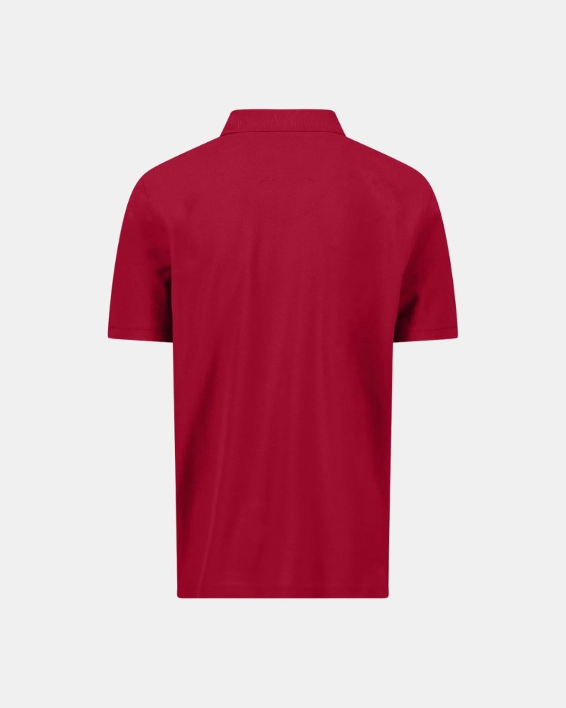 Basic Polo Shirt thumbnail