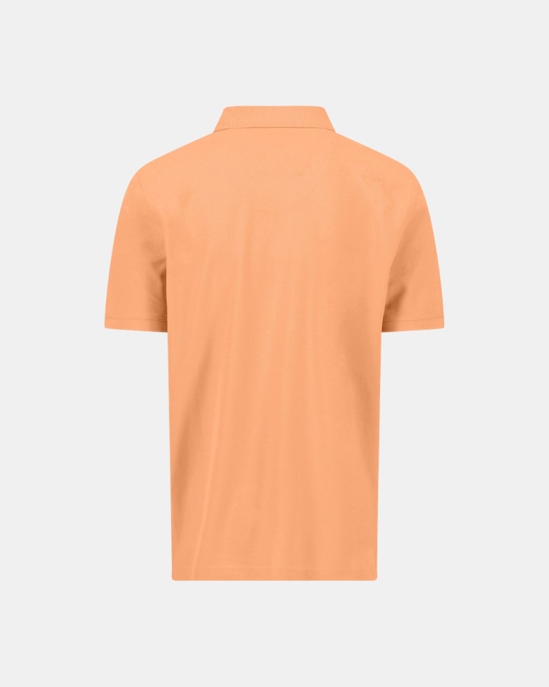 Basic Polo Shirt thumbnail