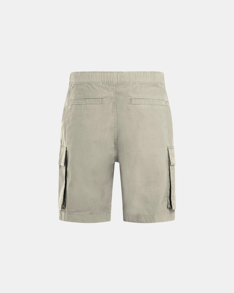 Washed Cargo Shorts thumbnail