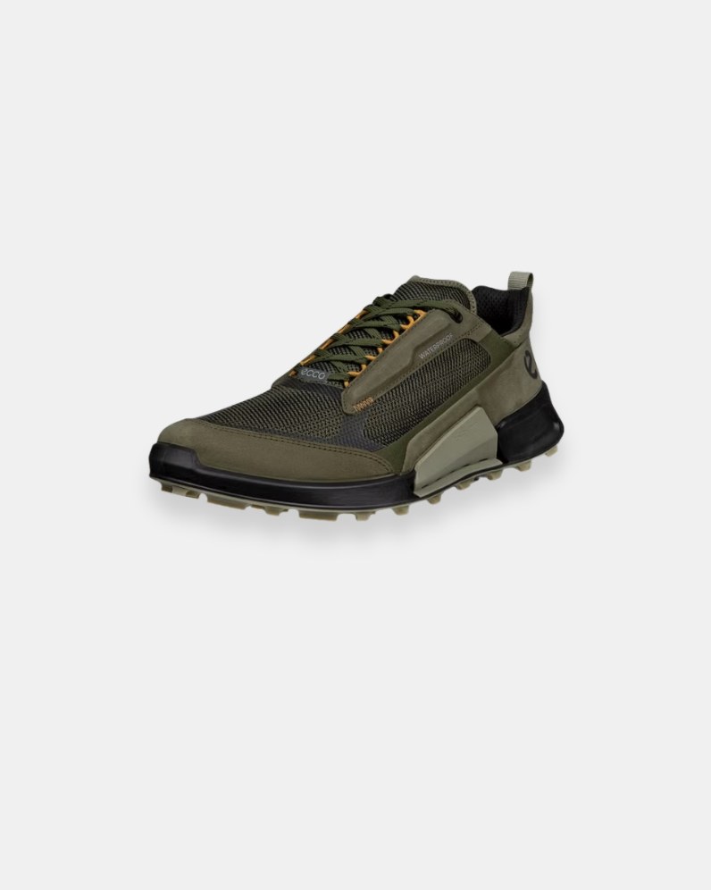 Biom 2.1 Mountain Shoe thumbnail