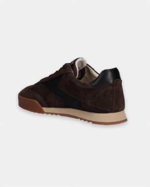 Baylle Trainer thumbnail