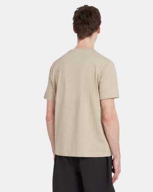 Danny Tee thumbnail