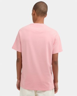 Essential Sports T-Shirt thumbnail