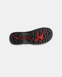 Offroad GTX Shoe thumbnail