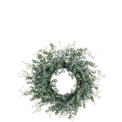 Boxwood Wreath 24in