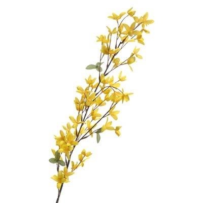 Forsythia Flower Stem 39in