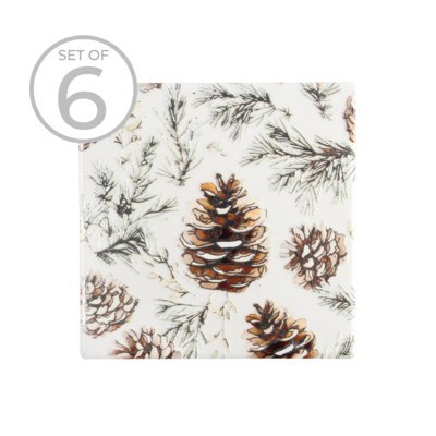 Coasters Pinecones 6ct