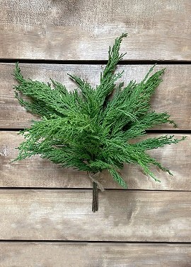 Ft Whispy Cedar Bundle 5 Stem