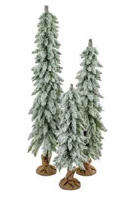 Evergreen Pencil Tree Sm 1ct