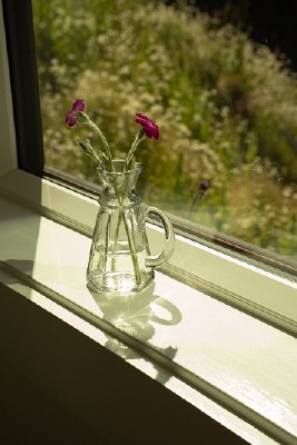 Miro Glass Bud Vase