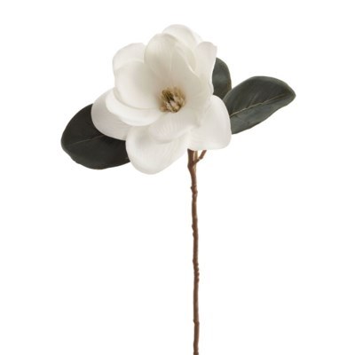 Magnolia Stem 10in