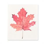 Swedish Cloth Canada Flag