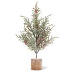 Snowy Pine Tree With Berries