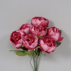 Peony Bush 19in Fushia