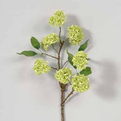 Snowball Floral Green Sprays