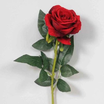 Rose Stem Velvet Red