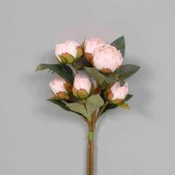 Peony Bundle Pink