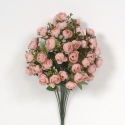 Tea Rose Bush Peach