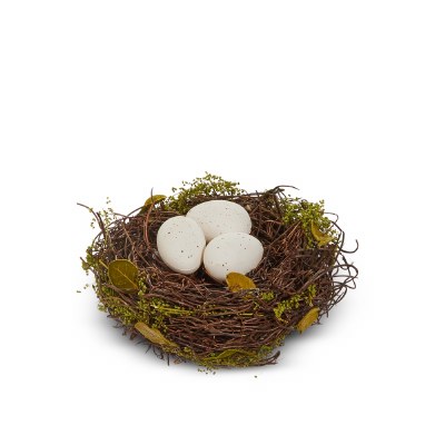 Eggs In Nest