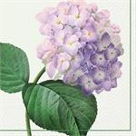 Hydrangea Lunch Napkins 20ct