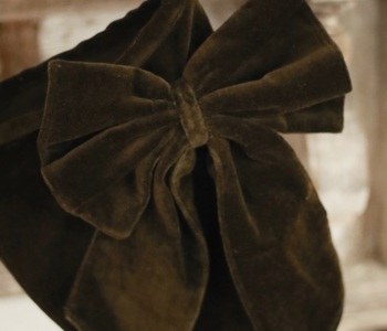 Velvet Bow 17in Brown