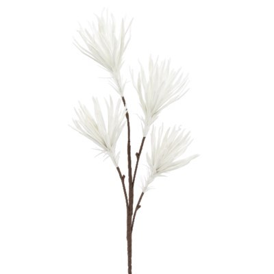 Desert Fringe White Papyrus