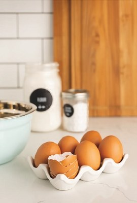 Egg Crate Holds 6 White