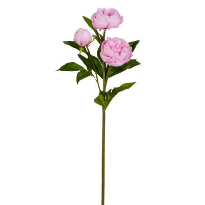 Peony Bundle Spray Pink