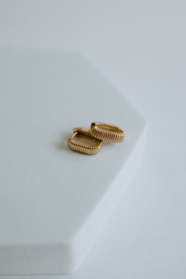 Pleaded Hug Earrings Gold Wp